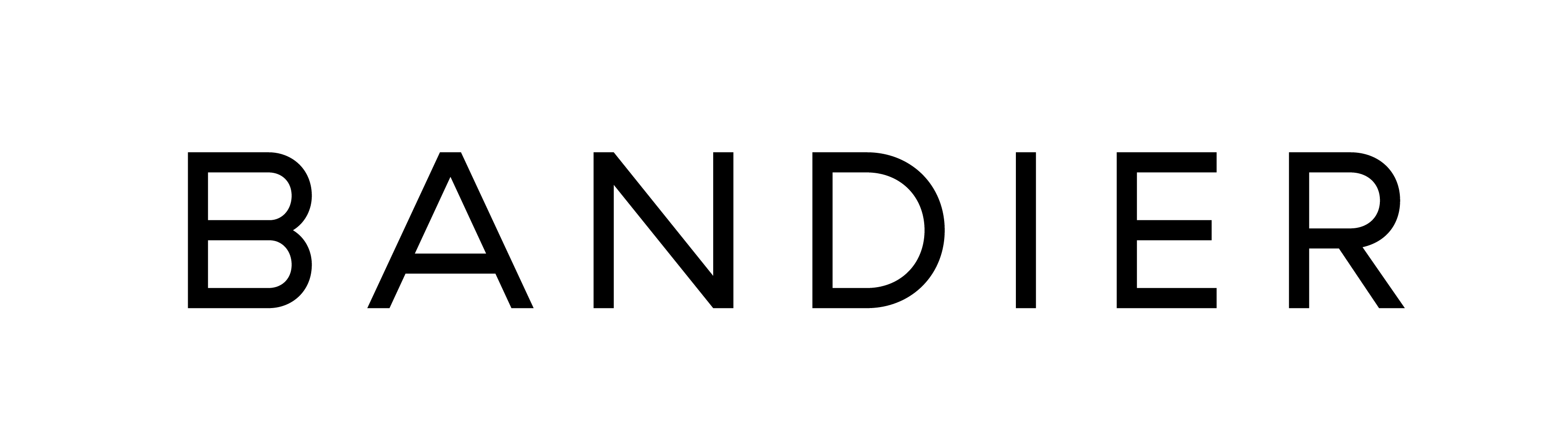 Bandier_Logotype_RGB-01 - Christine Bender.png