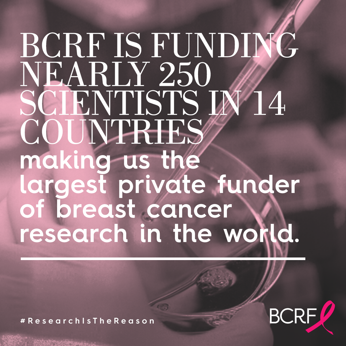 2021 BCRF grants and funding BCRF is funding nearly 250 scientists in 14 countries, making us the largest private funder of breast cancer research in the world.