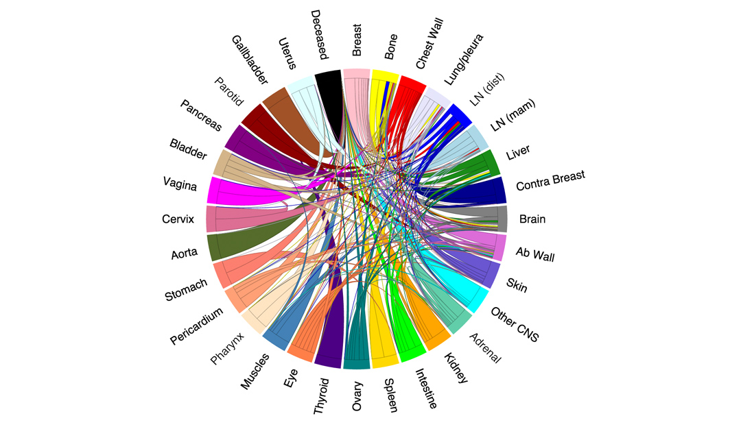 Bcrf Investigators Use Mathematical Modeling To Predict The Likelihood