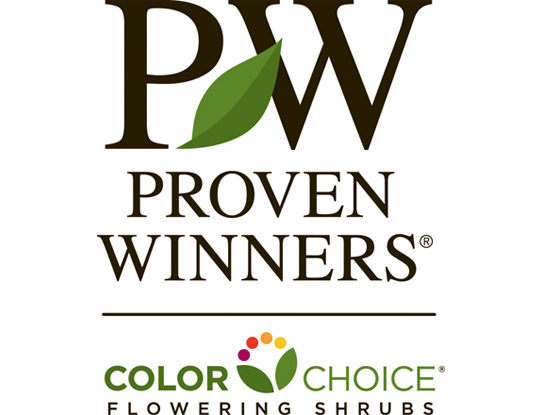 Proven Winners® ColorChoice® 