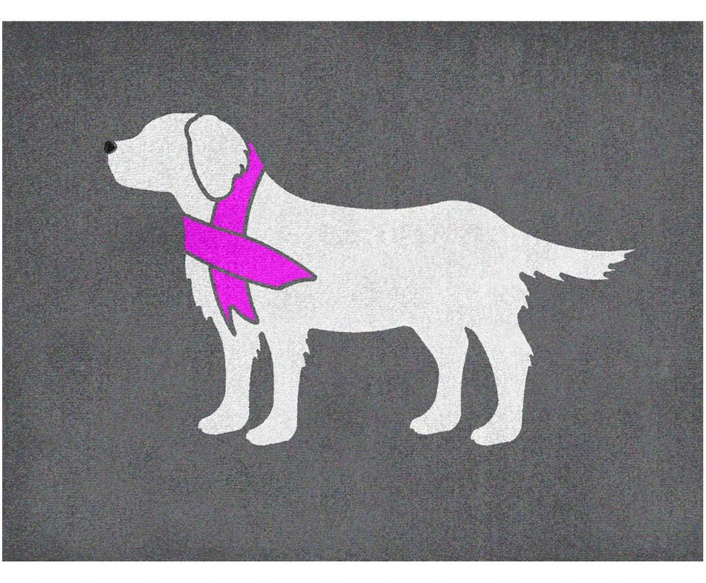carpet-one-Dog.jpg